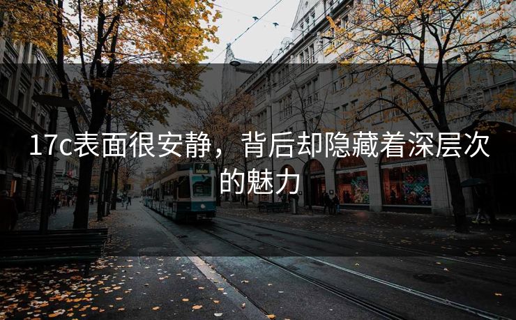 17c表面很安静，背后却隐藏着深层次的魅力