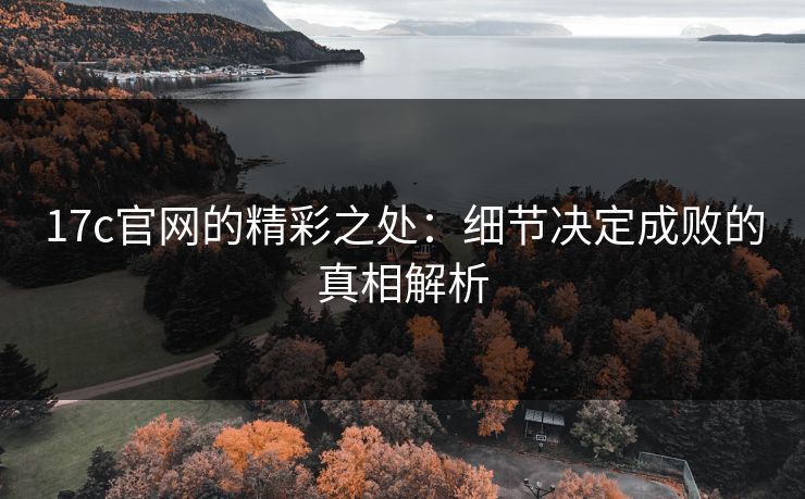 17c官网的精彩之处：细节决定成败的真相解析