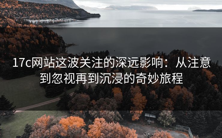 17c网站这波关注的深远影响：从注意到忽视再到沉浸的奇妙旅程