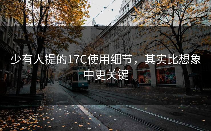 少有人提的17C使用细节，其实比想象中更关键