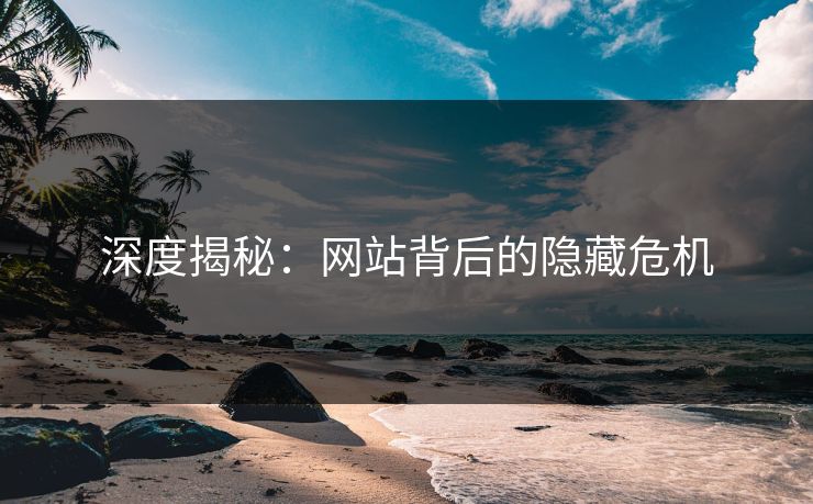 深度揭秘：网站背后的隐藏危机