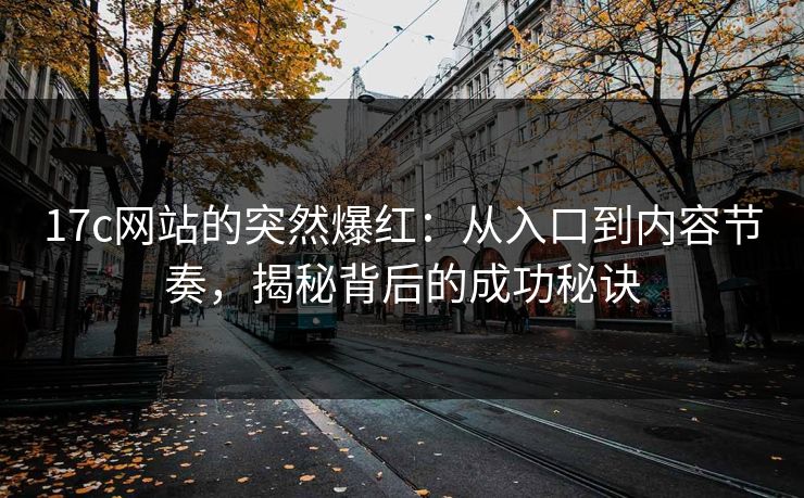 17c网站的突然爆红：从入口到内容节奏，揭秘背后的成功秘诀