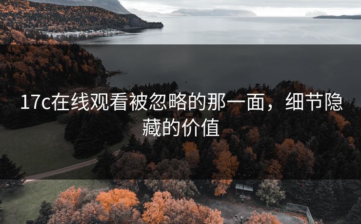 17c在线观看被忽略的那一面，细节隐藏的价值
